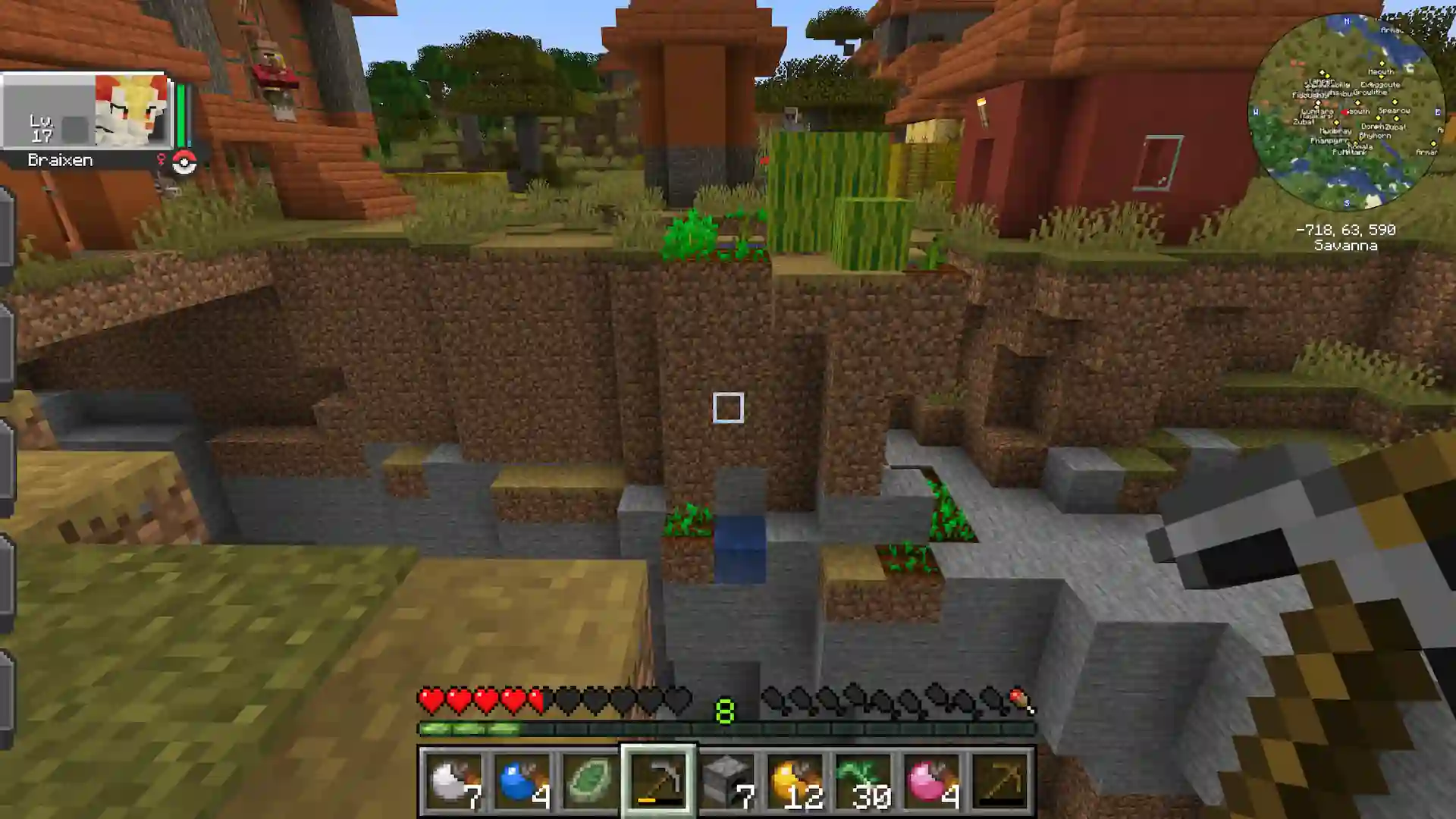 Village in Cobblemon